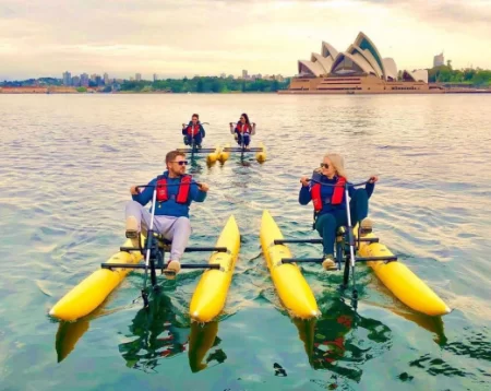chiliboats-image-sidney